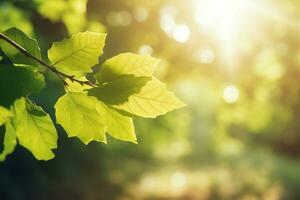 AI generated Branch with green leaves in sunlight, bokeh effect. Summer background. Ai generated photo