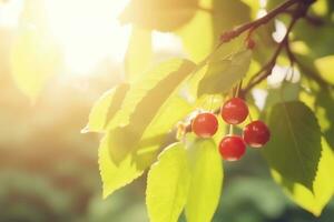 AI generated Branch with green leaves in sunlight, bokeh effect. Summer background. Ai generated photo