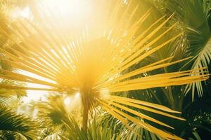 AI generated Tropical palm leaves close-up summer background. Ai generated photo