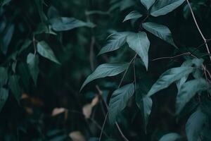 AI generated Dark moody green leaves summer background. Ai generated photo