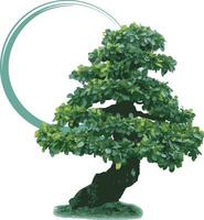 Abstract of Bonsai tree against with circle paint on white background. vector