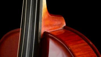 corps et points du doigt de violon ou alto video