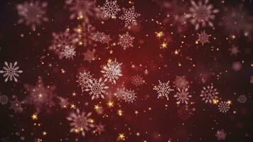 lindo inverno flocos de neve, brilhante dourado estrelas e cintilante neve partículas em uma festivo vermelho fundo. isto inverno neve, Natal movimento fundo animação é uma desatado laço. video