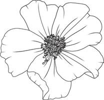 resumen línea Rosa flor son floreciente con vacío antecedentes. vector