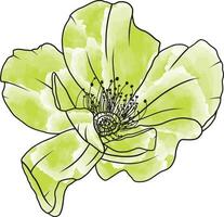 Abstract line rose flower are blooming with soft green color painting. vector