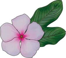 Abstract line of Cape Periwinkle, Bringht Eye, Indian Periwinkle, Madagascar Periwinkle flower with leaf. vector