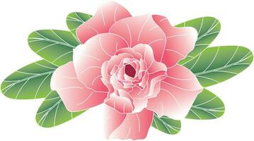 Abstract of Desert rose, Mock Azalea, Pinkbignonia, Impala lily flower with leaves on white background. vector