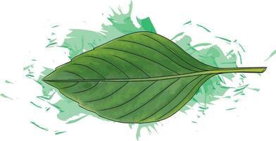 resumen dulce albahaca hojas con color untado en blanco antecedentes vector