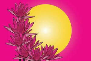 Abstract of Pink water lily flowers with yellow circle on pink backgroud. vector