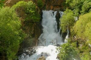 Kurdistan Nature iraq photo