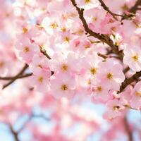 AI generated cherry blossom Background photo