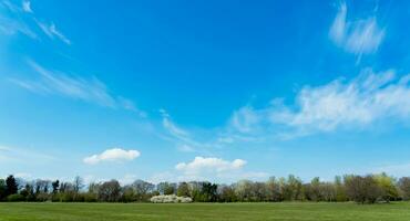 cielo azul, nube con bosque árbol, verde césped campo y Graden en parque, fondo horizonte primavera paisaje pradera en mañana, naturaleza escena prado claro azul cielo en verano foto