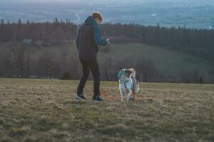 Young cynologist, a dog trainer trains a four-legged pet Australian Shepherd in basic commands using treats. Love between dog and human photo