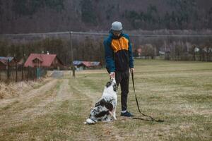 Young cynologist, a dog trainer trains a four-legged pet Australian Shepherd in basic commands using treats. Love between dog and human. Cuteness photo