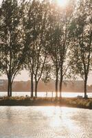 Romantic moment of a young couple who met after a long time during a sunset in the park and feel love and joy from their reunion. Almere, Netherlands photo