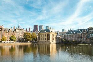 ver de el más alto edificios de guarida haag en un soleado día mediante el rojo rosas. el diferente de colores rascacielos son el símbolo de el ciudad foto