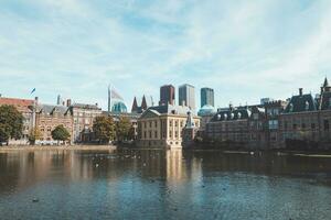 ver de el más alto edificios de guarida haag en un soleado día mediante el rojo rosas. el diferente de colores rascacielos son el símbolo de el ciudad foto