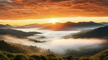 AI generated sunrise in the misty morning HD background wallpaper photo