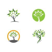 Logos of green Tree leaf ecology vector