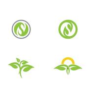 logotipos de la ecología de la hoja del árbol verde vector