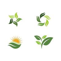 logotipos de la ecología de la hoja del árbol verde vector