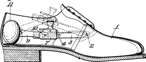 un durable cubierta para el humano pie Clásico grabado. vector