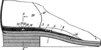 Dress Shoe are made of leather vintage engraving. vector