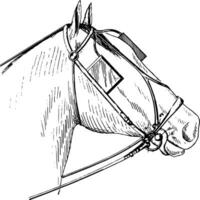 Bridle Bit, vintage illustration. vector