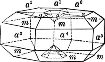 cíclico hermanamiento en rutilo, Clásico ilustración. vector