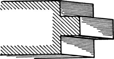 elevado filete un romano moldura generalmente hecho igual a sus altura Clásico grabado. vector