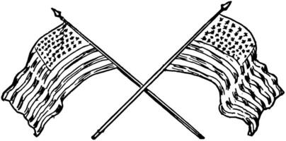 dos americano banderas Clásico ilustración. vector