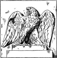 High Relief Eagle is a monument in Berlin, vintage engraving. vector