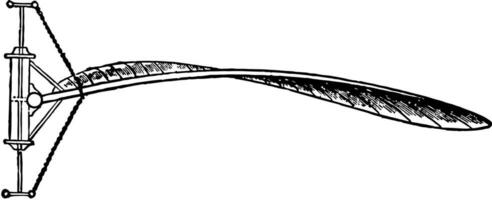 Elastic Spiral Wing, vintage illustration. vector