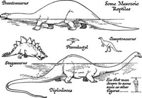 Mesozoic Age Reptiles, vintage illustration. vector