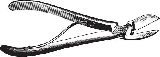 Bone cutting forceps, vintage engraving. vector