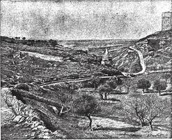 Valley of Jehoshaphat or Valley of Josaphat, vintage engraving. vector