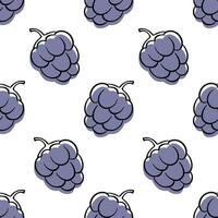 Blackberry seamless pattern vector