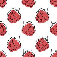 Raspberry seamless pattern vector