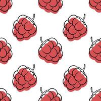 Raspberry seamless pattern vector
