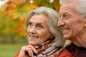 Close up portrait of beautiful senior couple relaxing in park photo