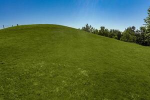 Neatly mowed green grass on hillside on sunny summer day photo