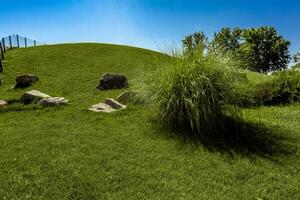 verano paisaje con colina cubierto con verde césped en contra fondo de azul cielo foto