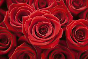 AI generated Red Rose Background for Valentine's Day. AI Generated photo