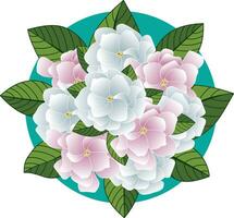 Illustration of Gerdenia or Cape jasmine flower with leaves on green circle background. vector