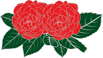 Illustration of red rose flower with leaf background. vector