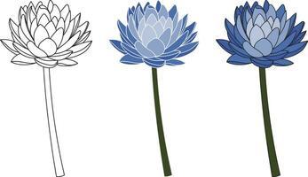 Illustration outline lotus flower and lotus with blue color on empty background. vector