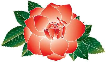 Illustration of red rose flower with leaves on white background. vector