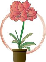 Illustration of Amaryllis flower in pot on circle background. vector