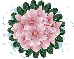 ilustración de rosado frangipani flor con hojas en azul color untado en vacío antecedentes. vector