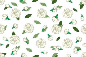 Illustration of white jasmine flower with leaves on empty background. vector